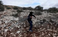 Four Palestinians injured in Kafr Qaddum march