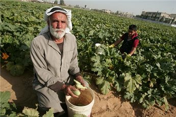 Palestinian farmers ordered to stay out of their lands in south of West Bank