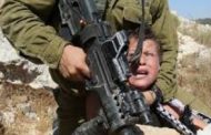 Palestinian shot, killed by Israeli forces in Bethlehem