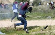 On World Photo Day: 144 photojournalists targeted by IOF in first half of 2019