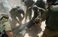 In 2 weeks, Israeli forces kill Palestinian, injure 200, detain 100, demolish 16 structures, displace 35 people, bulldoze road