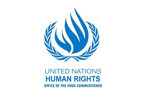 UN rights office issues report on business activities related to settlements in occupied territory