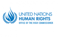 OHCHR: Israel must develop transparent investigation into its forces’ killing of Palestinian with learning disability