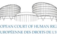 AI: European Court of Human Rights judgment on BDS activists a significant precedent
