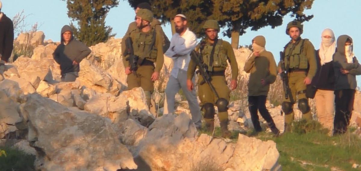 Israeli settlers’ violence against Palestinians continues unabated with new vandalism