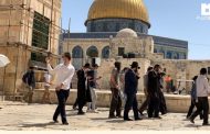 Over 900 Jewish settlers storm Al-Aqsa
