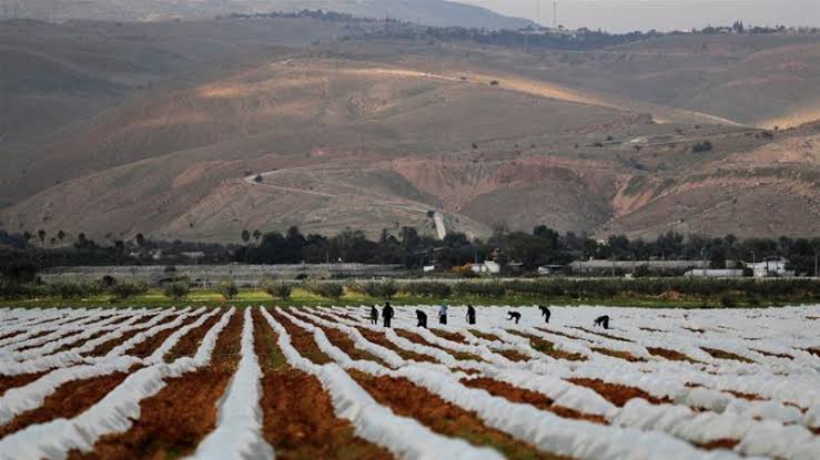 Israeli work on illegal settlements continue at expense of Palestinian agricultural land
