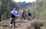 Israeli settlers attack Palestinian farmers harvesting olive crops near Ramallah, injure five