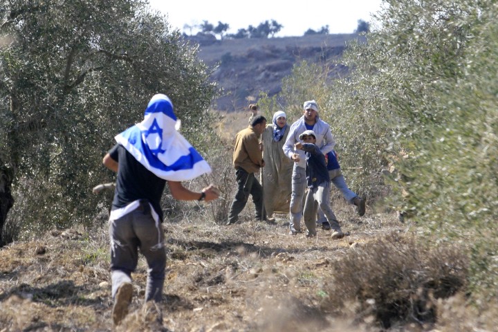 UN agencies and international NGOs call for the protection of Palestinian olive harvesters