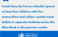 UN Human Rights Office calls for transparent investigations into Israeli shooting of Palestinian children