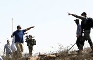 Palestinian farmers kick out Israeli settlers who trespassed on their lands and destroyed crops