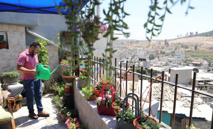Spread Joy from the Rooftops: A Dream of Rooftop Gardens Across Refugee Camps across the West Bank