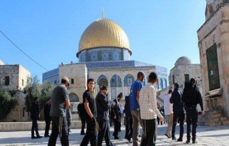 Al-Aqsa Mosque to reopen for Muslim worshippers after holiday, says Waqf department