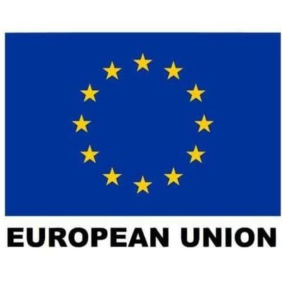 EU official stresses necessity of EU’s recognition of State of Palestine