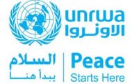 UNRWA in need $800 million to maintain essential services to refugees: Commissioner-General