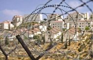 PLO official warns of the consequences of Israeli plan to annex occupied Palestinian lands