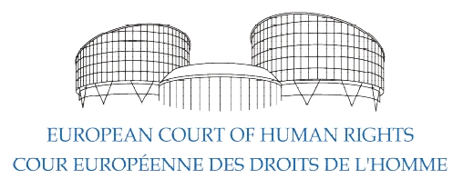 AI: European Court of Human Rights judgment on BDS activists a significant precedent