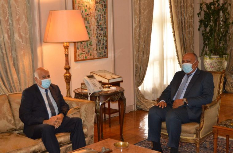 Egyptian FM affirms Egypt's support for Palestinian rights, unity