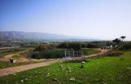 In a bid to prevent Palestinian movement, Israeli occupation set up metal gates on a Jordan Valley road