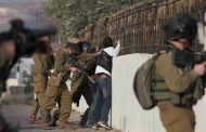 Occupation forces detain 14 Palestinians in West Bank