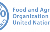FAO provides emergency assistance to safeguard food security and livelihoods of vulnerable farmers and herders in the Gaza Strip
