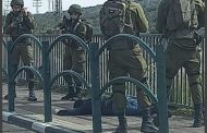 In a two-week period, Israeli occupation forces kill nine Palestinians, injure hundreds others - OCHA