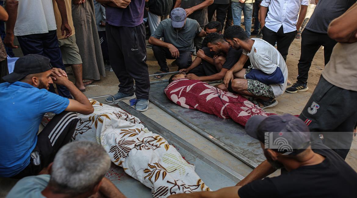 Death toll across Gaza Strip surges to 64,656, over 163,503 injured